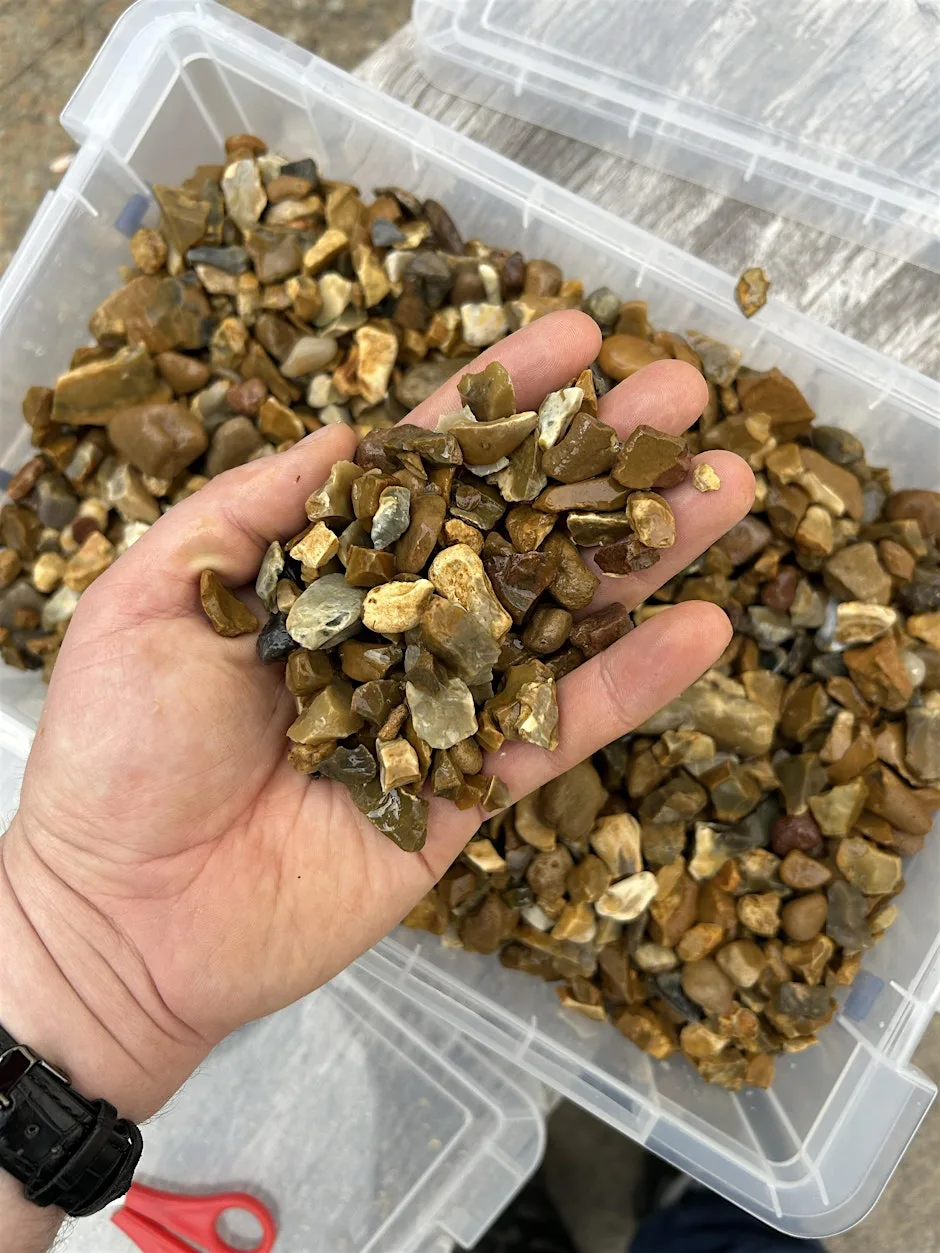 Garden Gravel Fossil Hunts at Hugh Miller's Birthplace Cottage & Museum