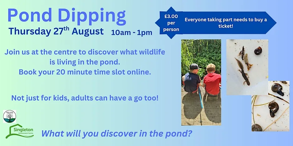 Pond Dipping at Singleton Environment Centre