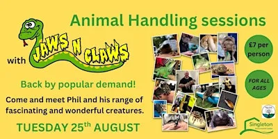 Jaws n Claws Animal Handling at Singleton Environment Centre
