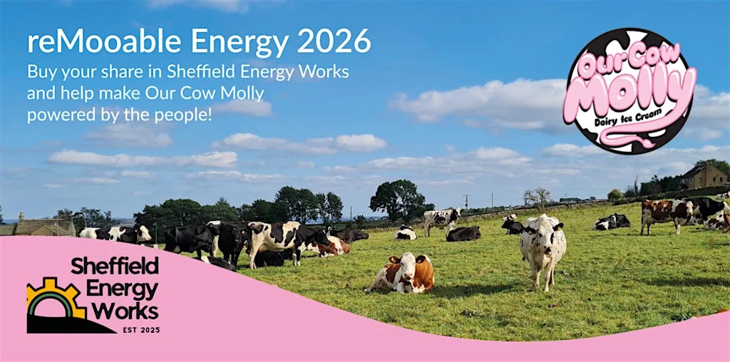 reMooable Energy Investors Webinar