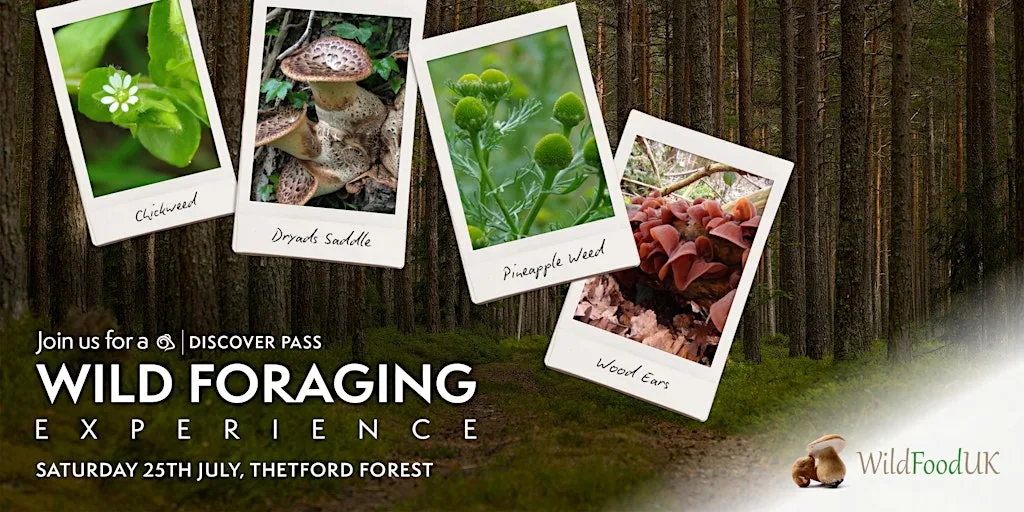 Craghoppers Discover Pass | Wild Foraging Experience – 25th July at St Helen’s Picnic Site