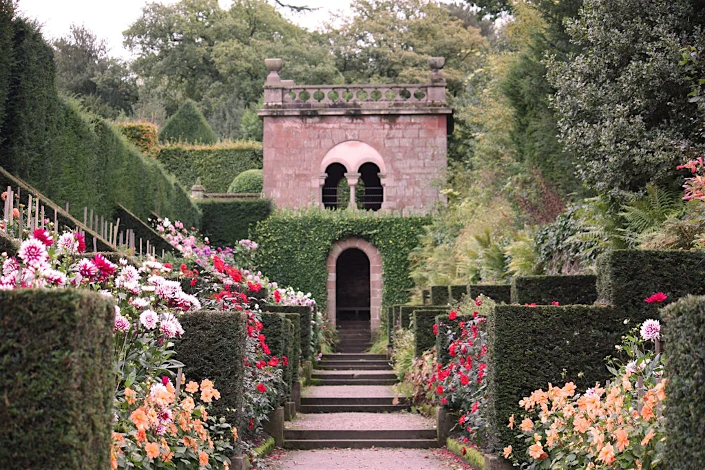 Private Tour & CreamTea at Biddulph Grange at National Trust - Biddulph Grange Garden