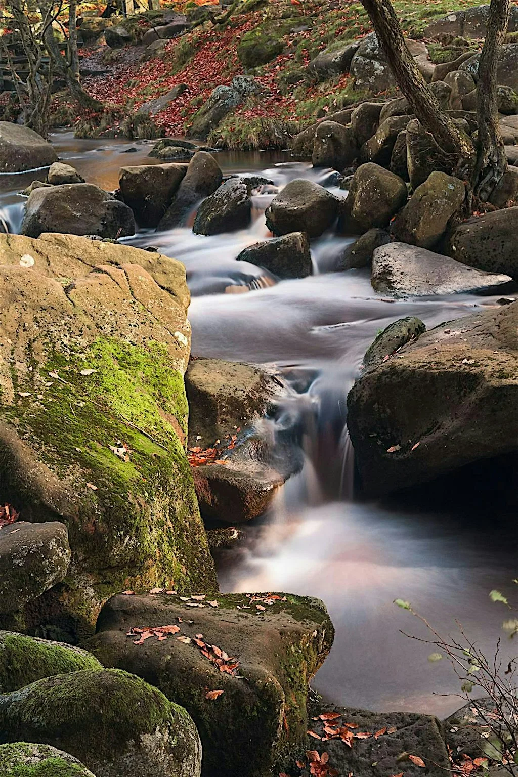 Wex Workshops: Landscapes | Autumn Colours at Padley Gorge with SONY