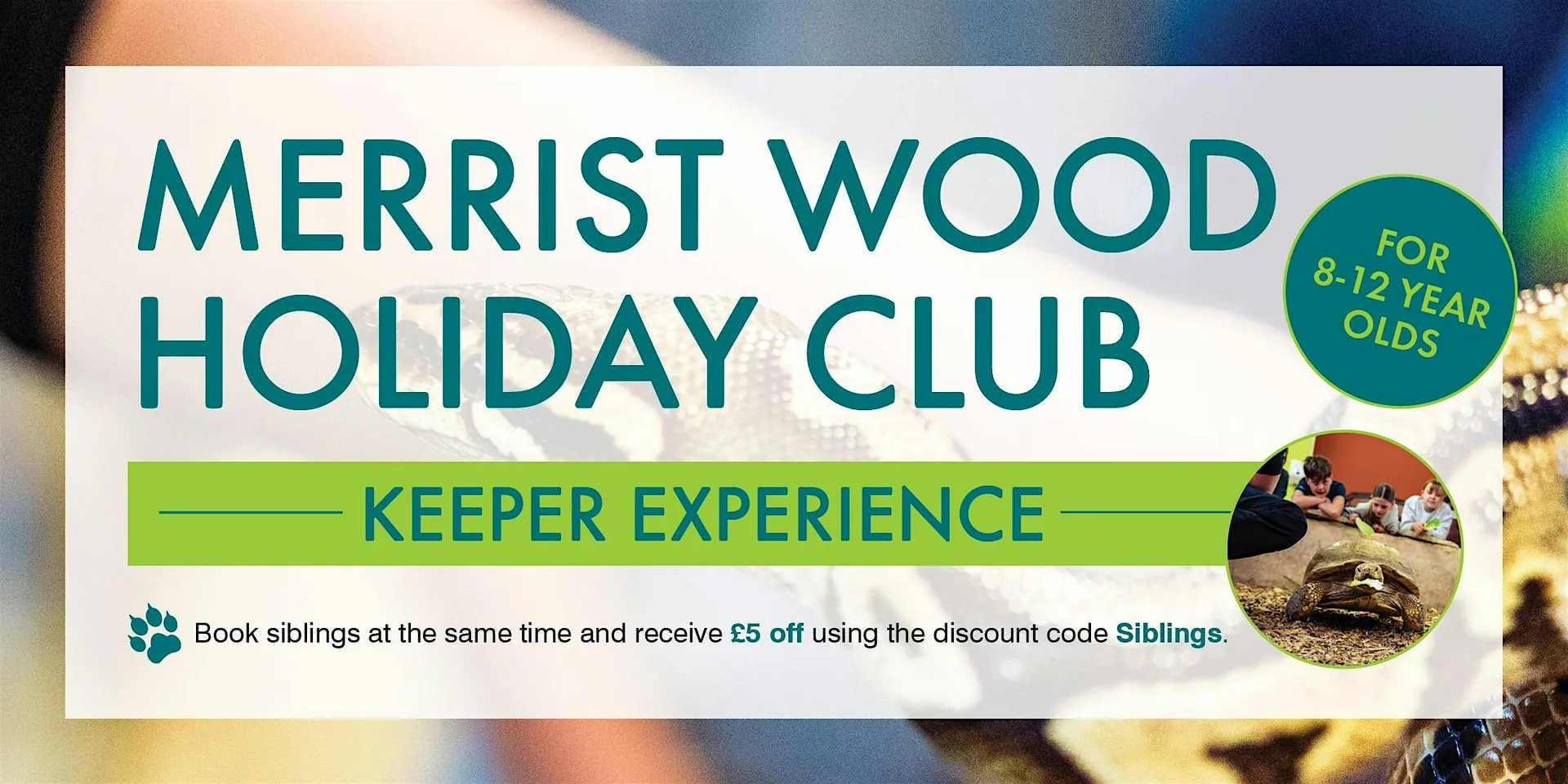 Holiday Club - Keeper Experience
