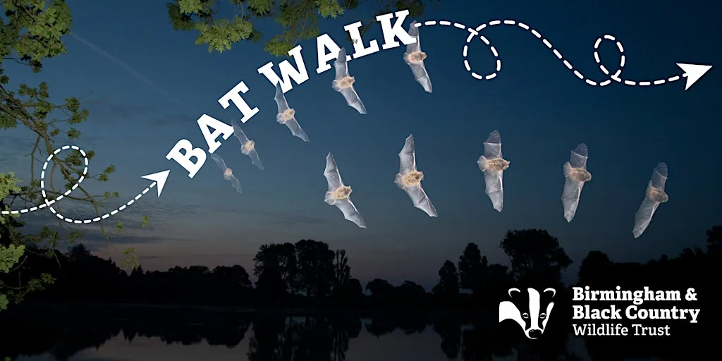 Bat Walk at Moseley Bog & Joy's Wood