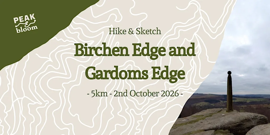 Birchen Edge - 'hike and sketch' | Peak District | Guided Hike at Birchen Edge Car Park - NT