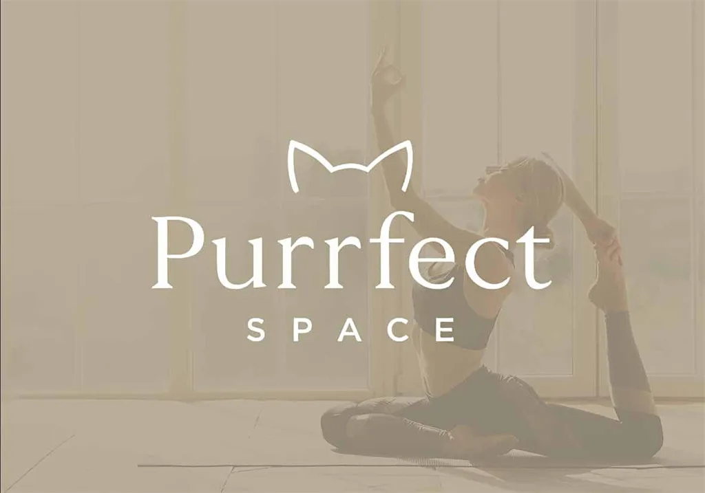 Cat Yoga at Purrfect Space