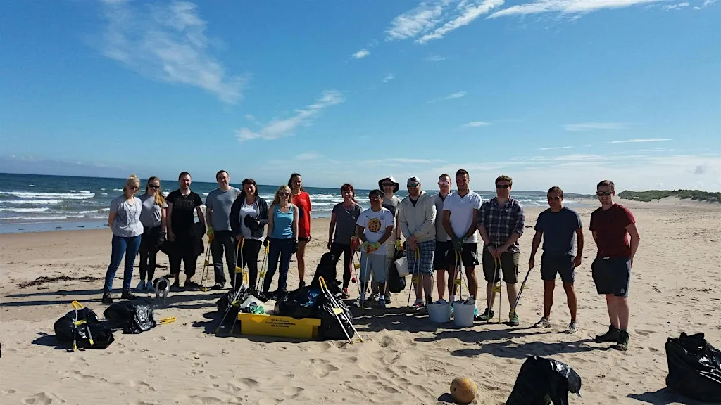 Marine Week: Blyth beach clean and seaweed spotting at Blyth Beach