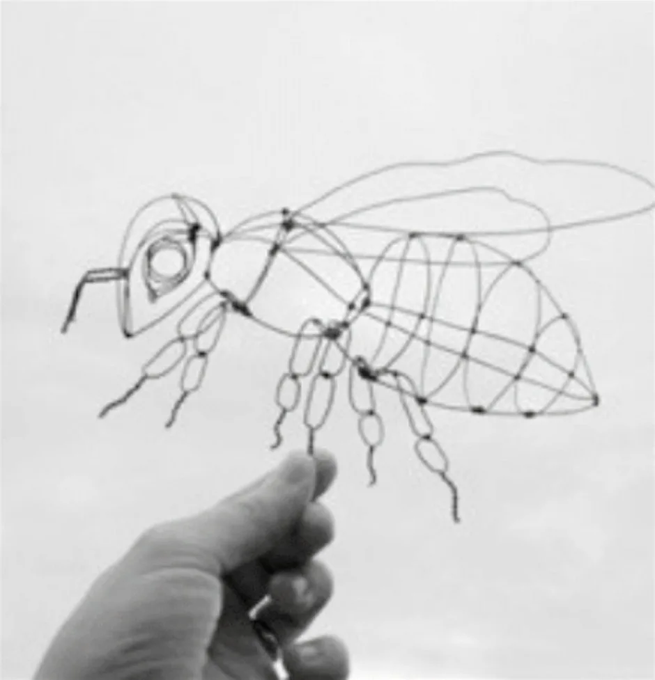 Cerfluniau 3D o Wifren a Ffoil / Wire + Foil 3D Sculptures (11-15) at Plas Glyn y Weddw Gallery