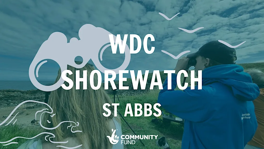 WDC Shorewatch - St Abbs at St Abbs Visitor Centre