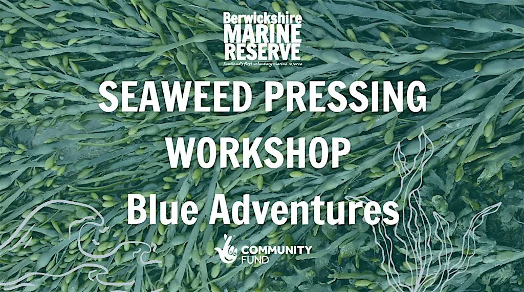 Seaweed Pressing Workshop at Blue Adventures
