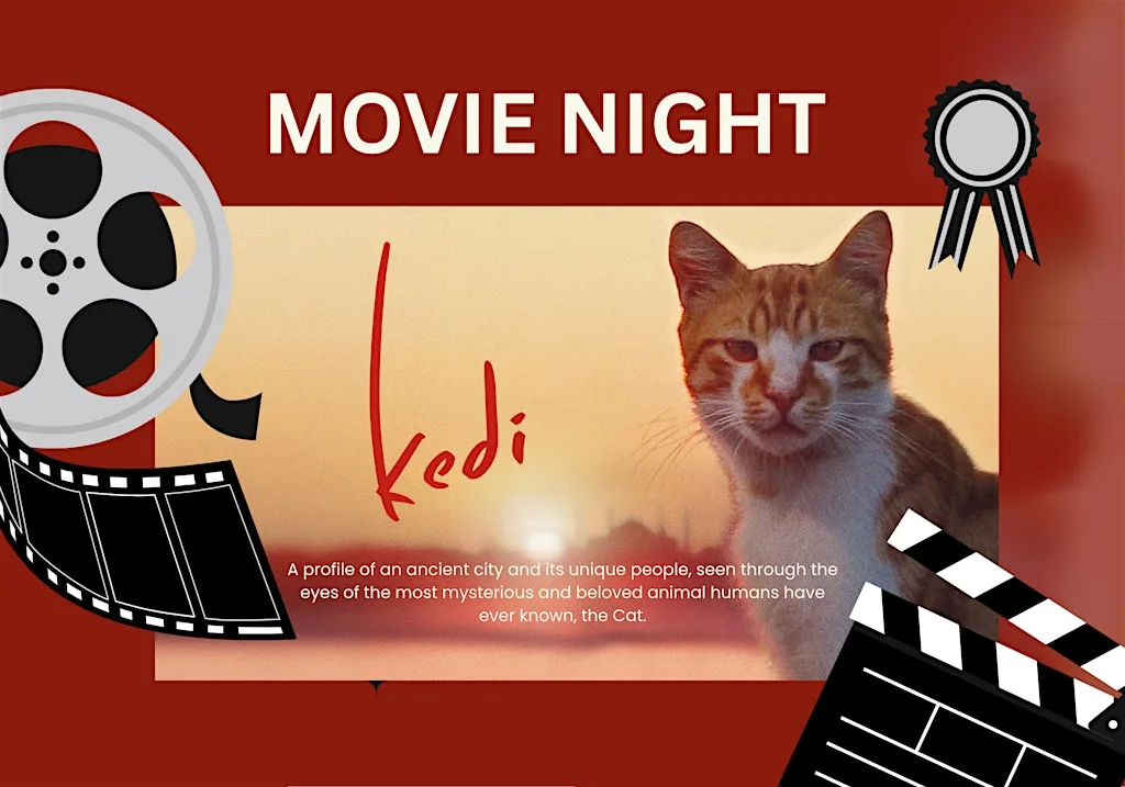Movie Night with Cats!