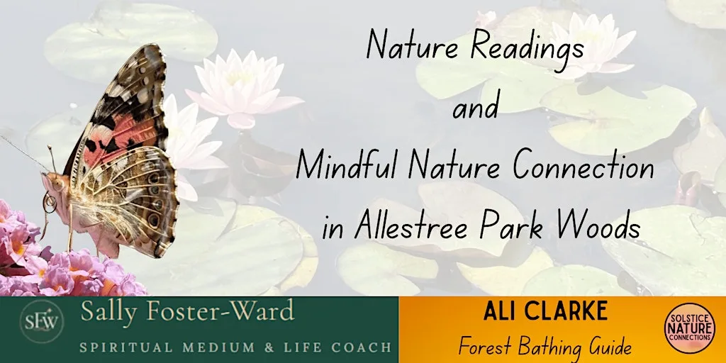 Spiritual Nature Readings and Mindful Nature Connection in the Woods.