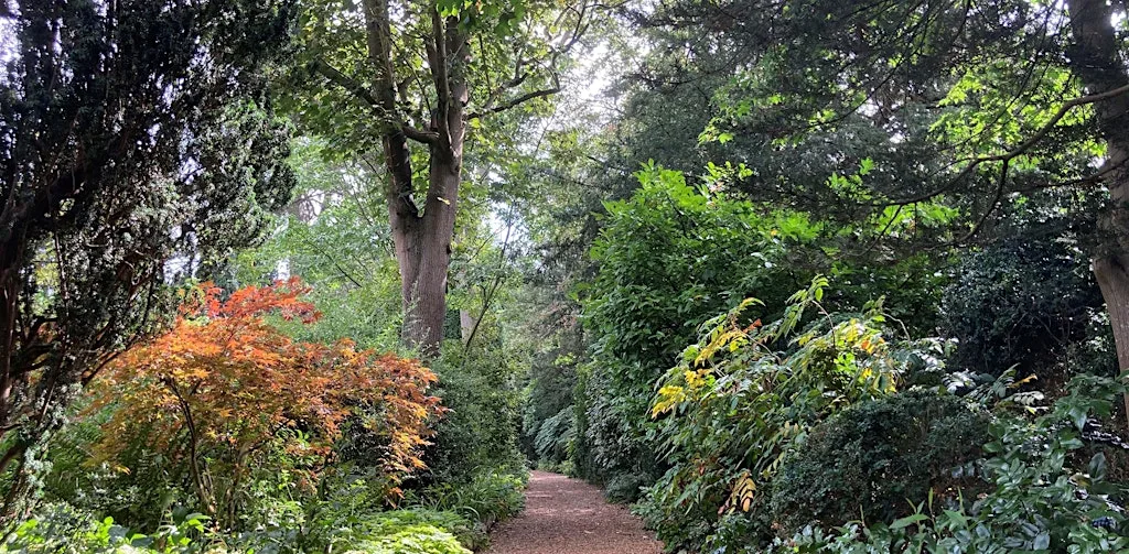 Trinity College Fellows’ Garden and Burrell’s Field Woodland Walk