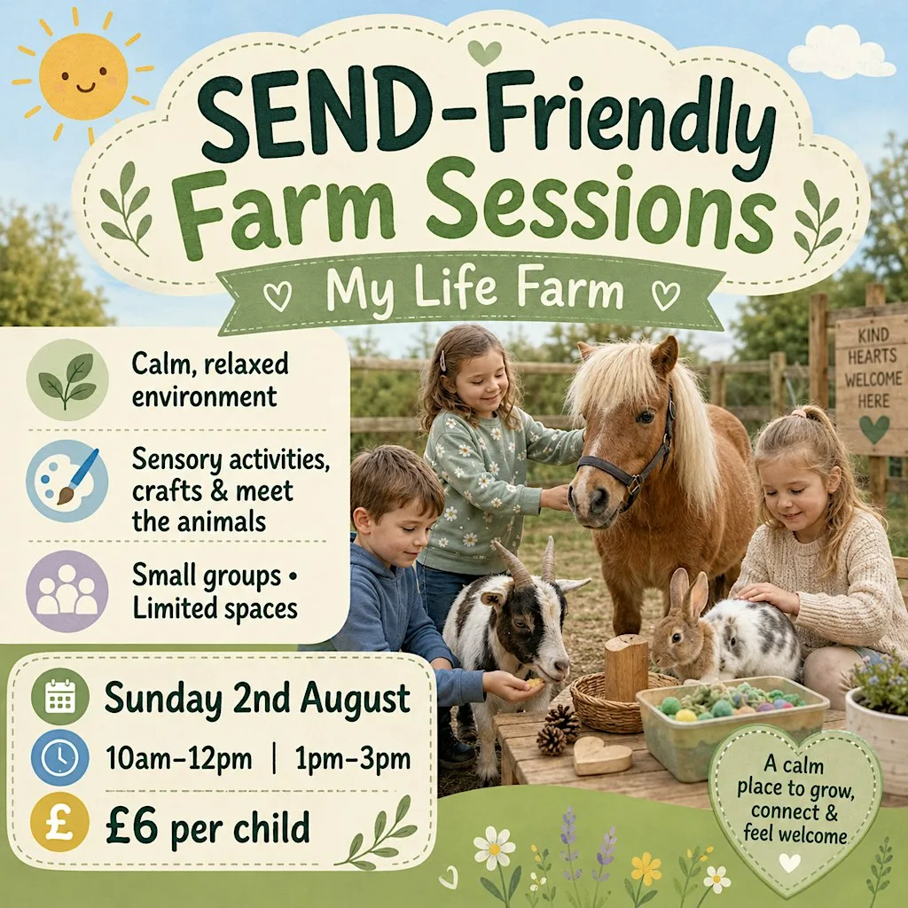 SEND Friendly Farm Sessions at Thompson House Equestrian Centre
