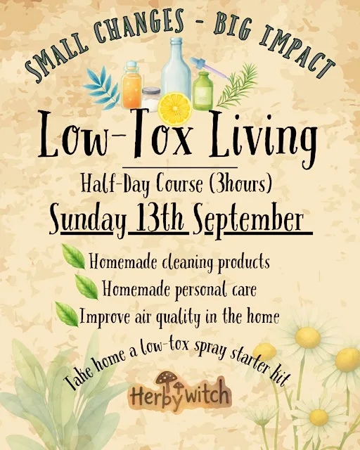 Low-Tox Living Half-Day Course