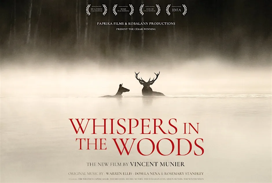 Whispers in the Wood at Saltburn Community Theatre
