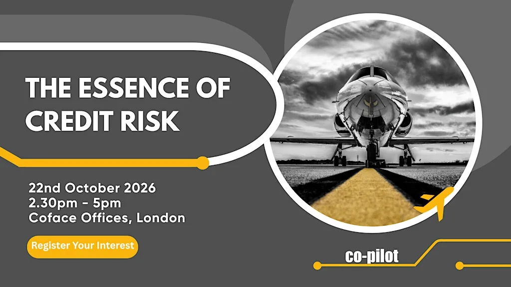 Co-pilot Essence of Credit Risk - London Meeting