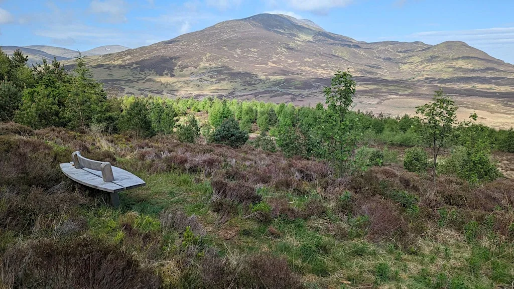 Dùn Coillich: Community-Led Nature Restoration in Action