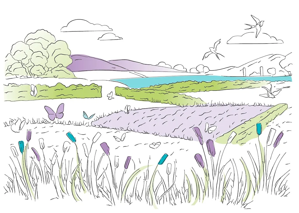 Nature-Based Solutions in Practice on the Allan Water