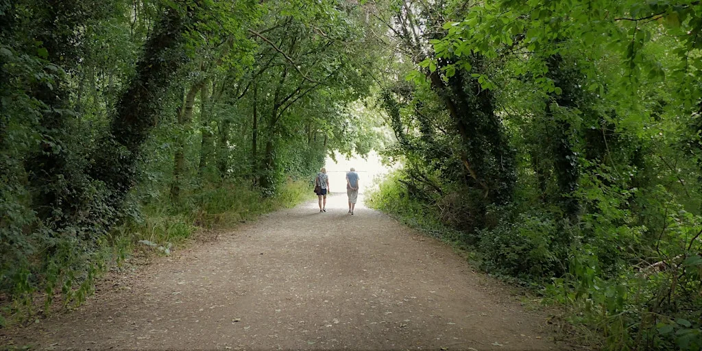 Bat Walk at Colwick Country Park