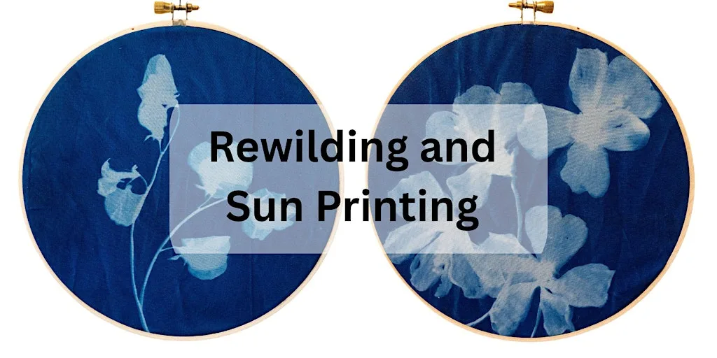 Superseeded: Cyanotype printing, rewilding, and biodiversity at Hadleigh Park