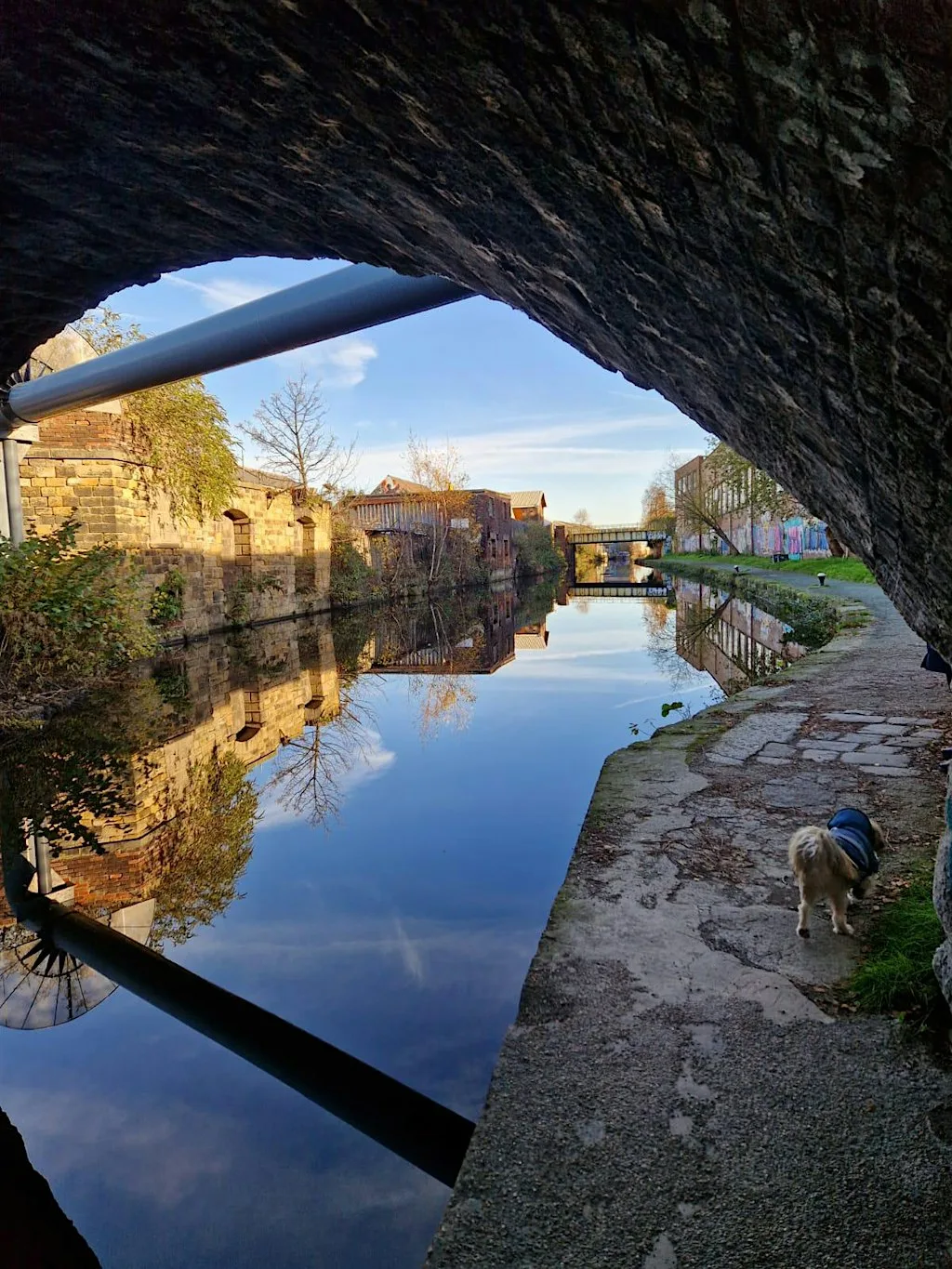 Heritage Cruise on the Sheffield and Tinsley Canal
