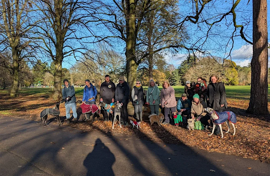 Group dog walk - Delamere Forest at Delamere Barns Bridge Car Park