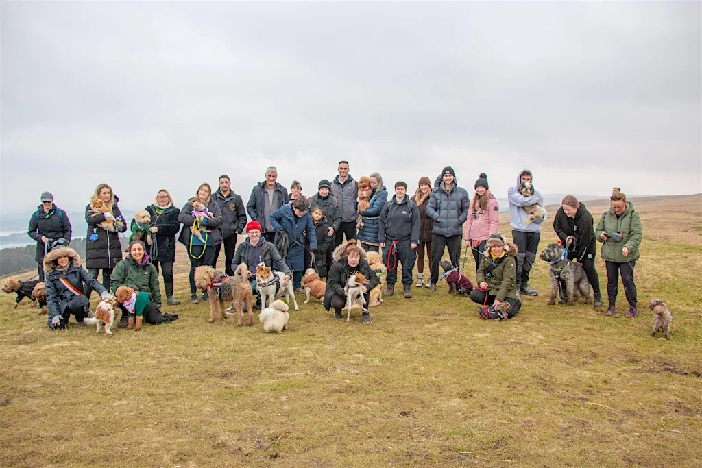 Group dog walk - Stockport