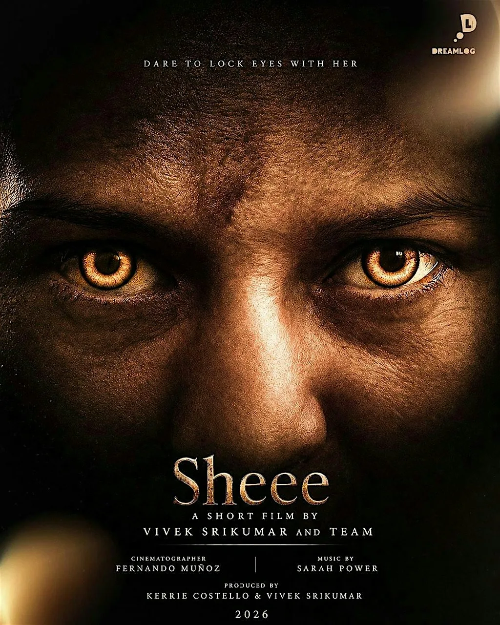 17th Indian Film festival of Ireland - 12th & 13th Sept screenings