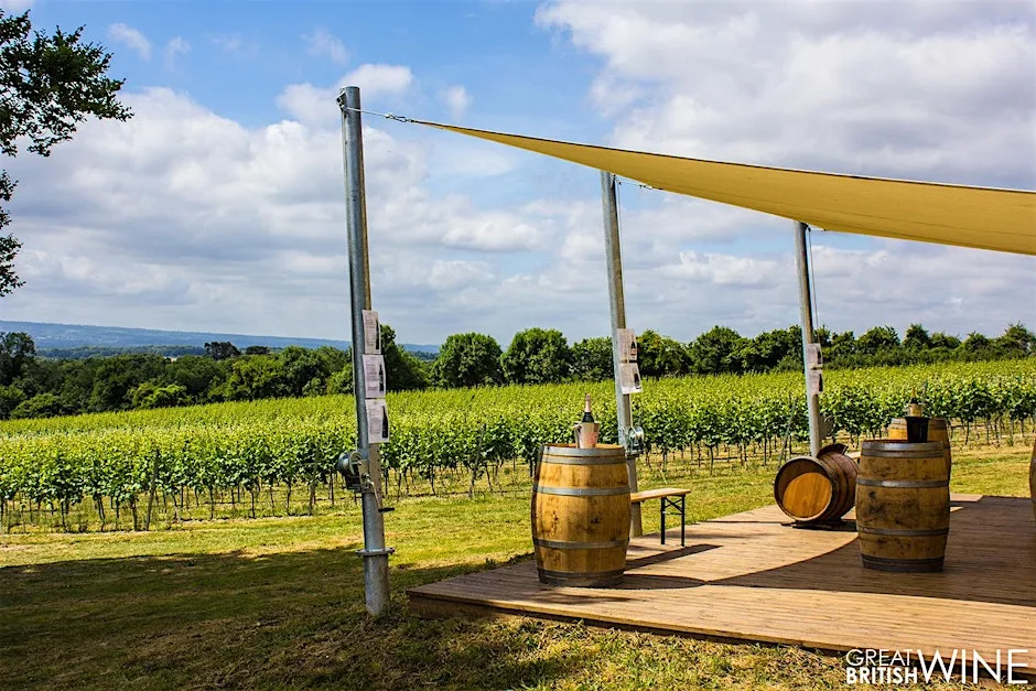 Run to Wine X Greyfriars Vineyard at Greyfriars Vineyard