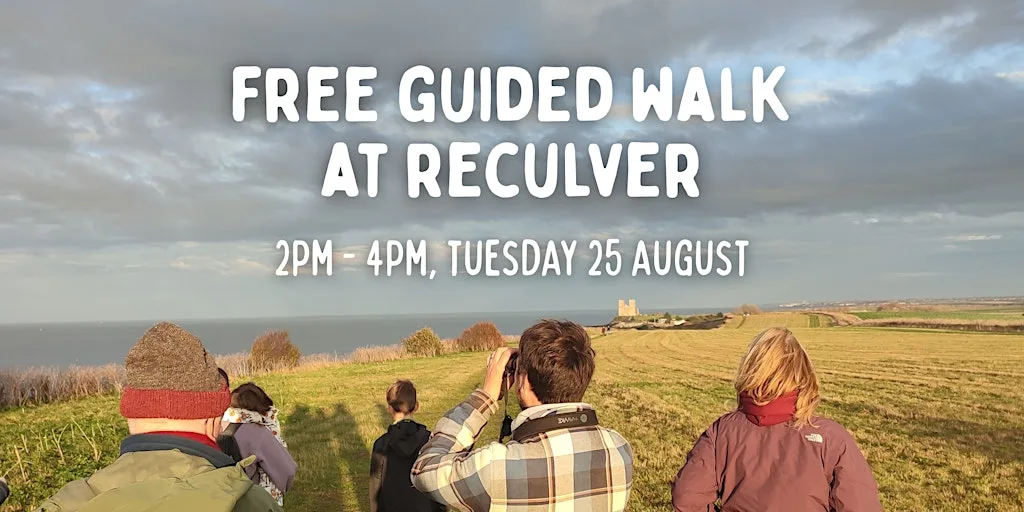 FREE Guided Walk at Reculver Country Park at Bishopstone Lane