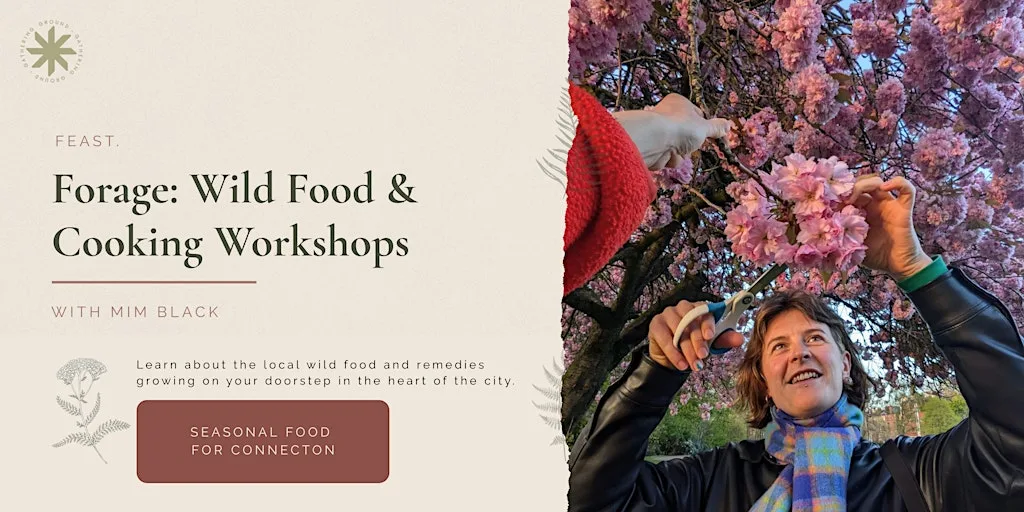 Forage - September Wild Food & Cooking Workshop at Gathering Ground CIC
