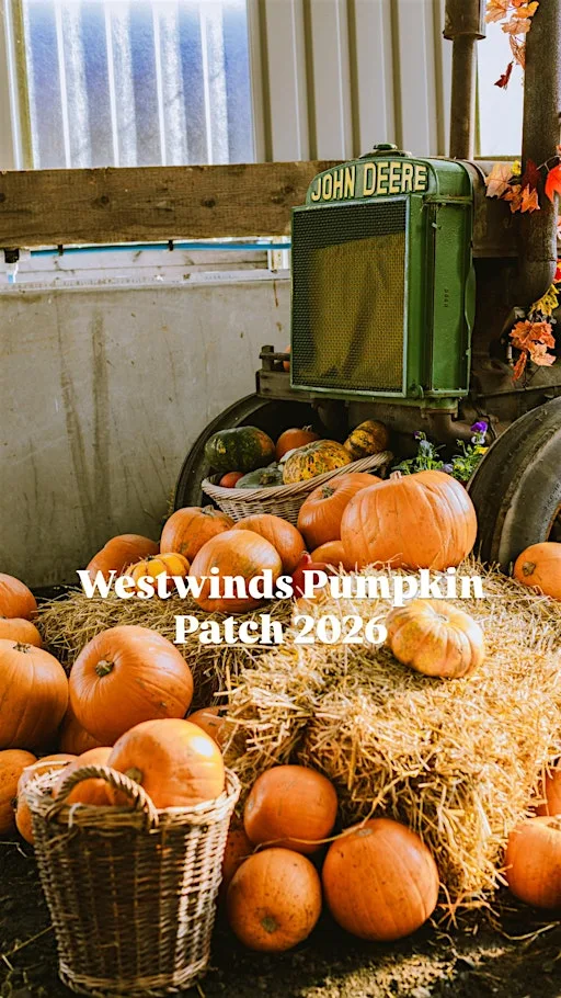 Westwinds Pumpkin Patch - 1 ticket per car, not per person
