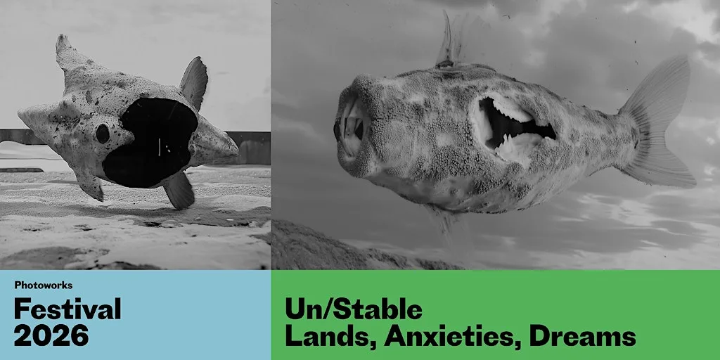 Conference : Un/Stable: Lands, Anxieties, Dreams