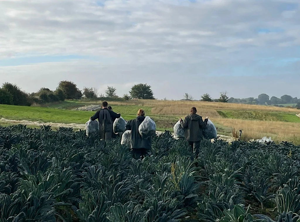 Blacklands Organics 10 Year Anniversary Shindig