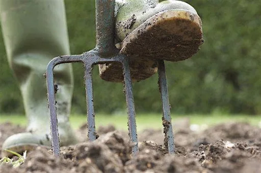 Preparing the Ground – Gardening Workshop at Lets Grow Preston at Ashton Walled Community Garden