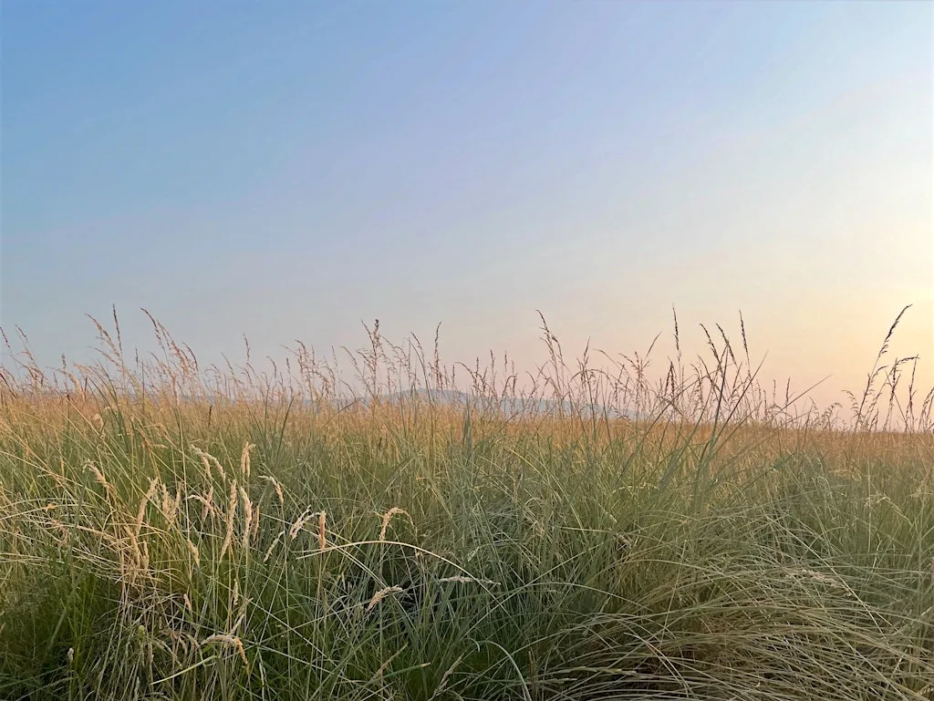 Tread Softly Walks⎜`Streedagh Beach - Eddie O'Gorman at Streedagh Beach