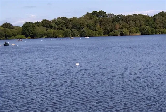 Boating lake and Heath Barrows Project at Petersfield
