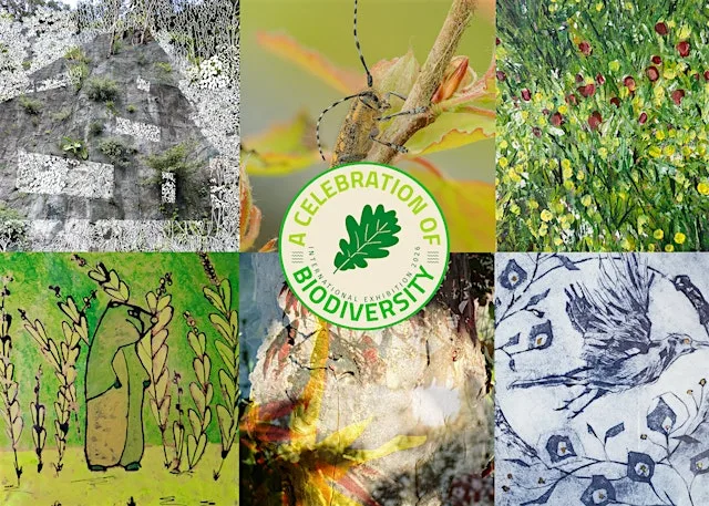 A Celebration of Biodiversity Closing Party at Leicester Adult Education, Lower Gallery