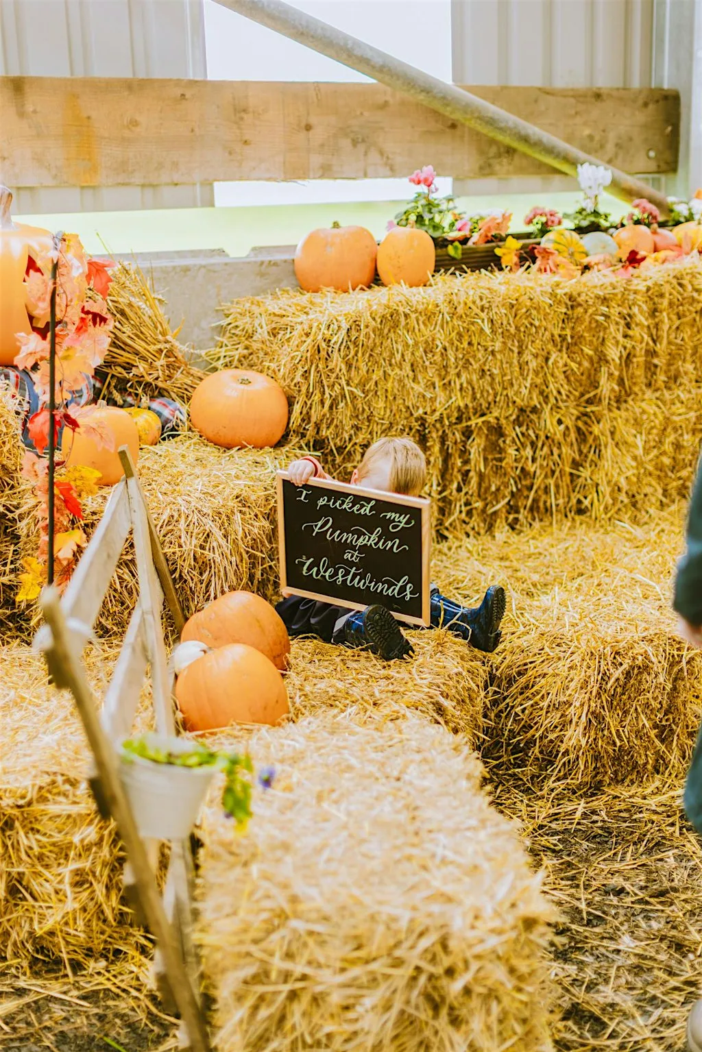Mini Shoots at Westwinds at Westwinds Patch
