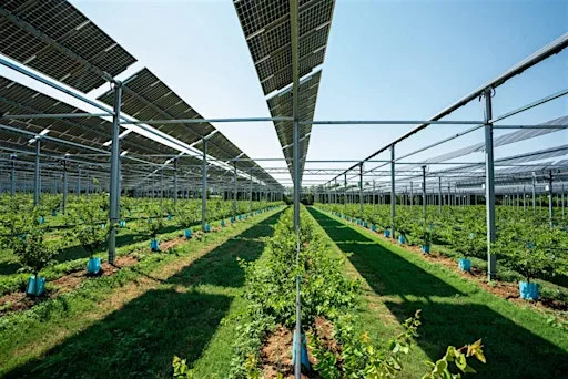 Growing Community Energy
