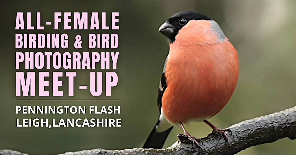 All-Female Bird & Bird Photography Morning