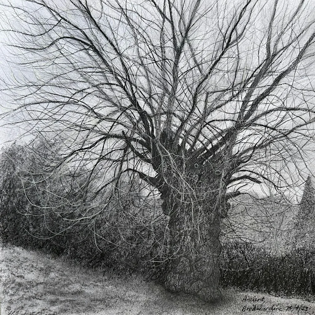 Stories from the Black Poplars
