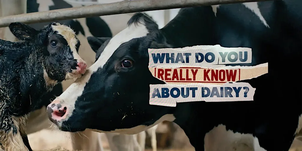 What Do You Really Know About Dairy? UK Premiere