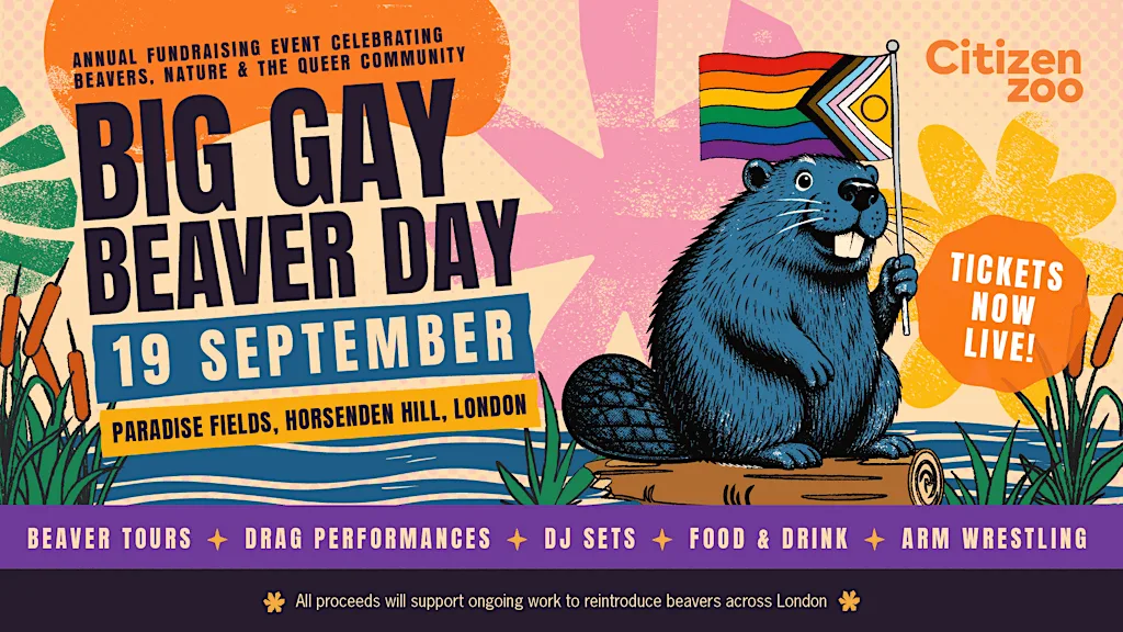 Big Gay Beaver Day 2026