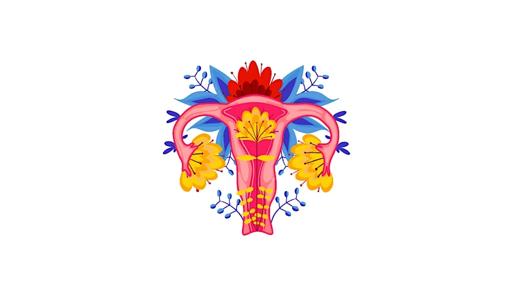 Cycles and Seasons; holistic approaches to female health - 6 week course at Melissa’s Café