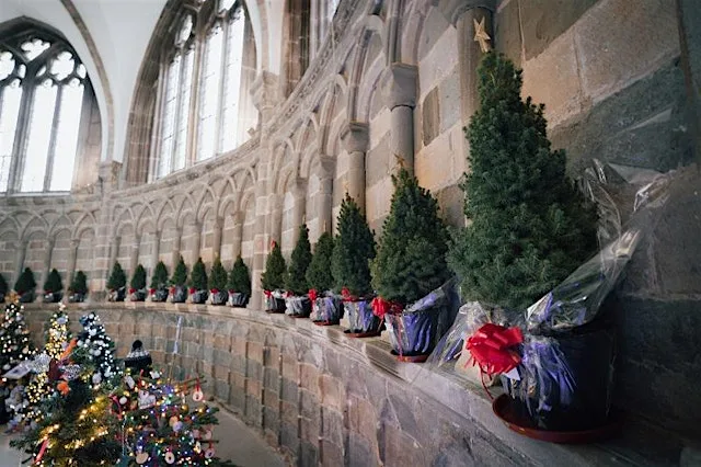 Book a Dedication Tree - Worcester Cathedral Christmas Tree Festival 2026 at Worcester Cathedral