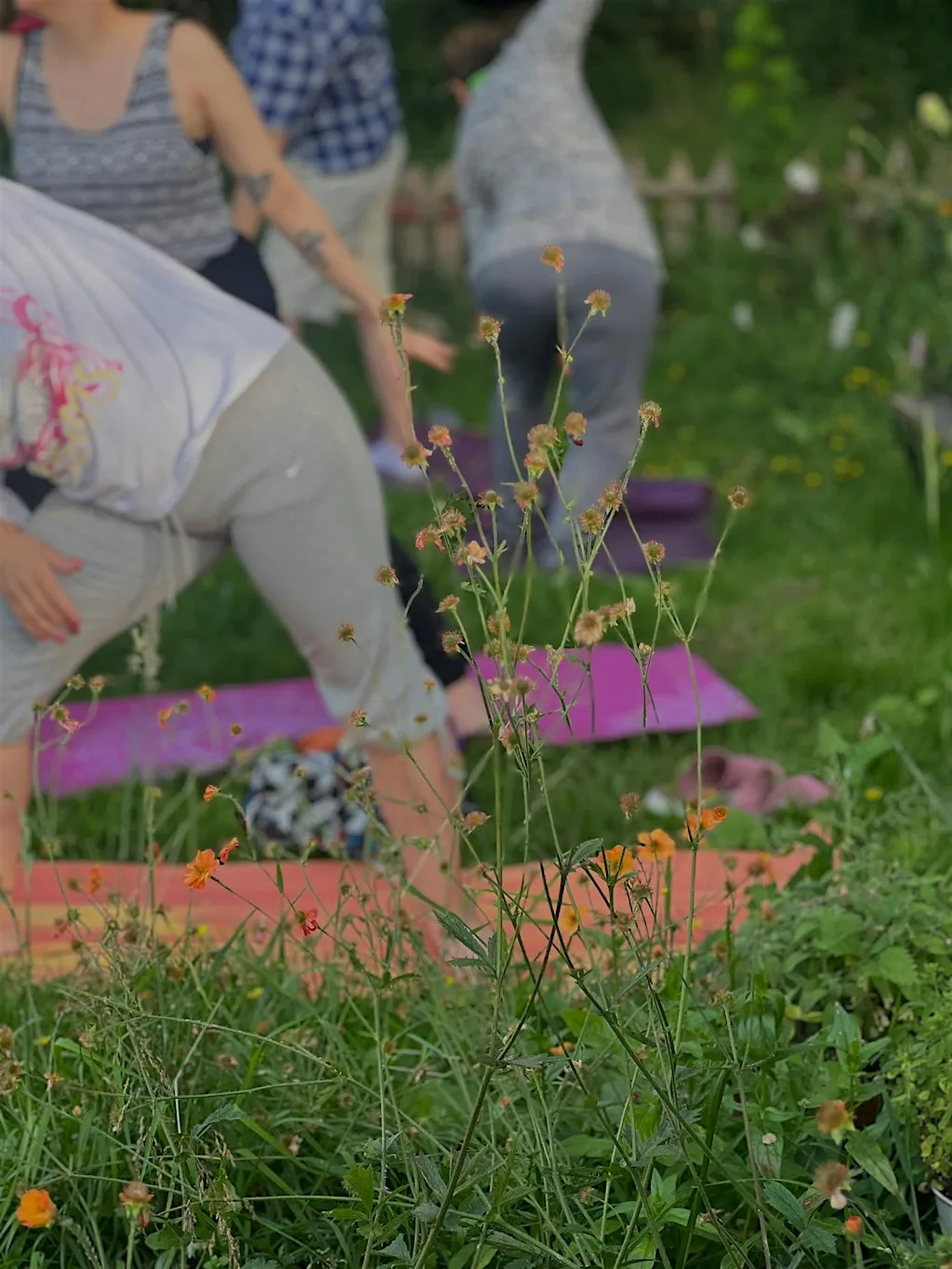 Wild and Well - Yoga at Growing Works