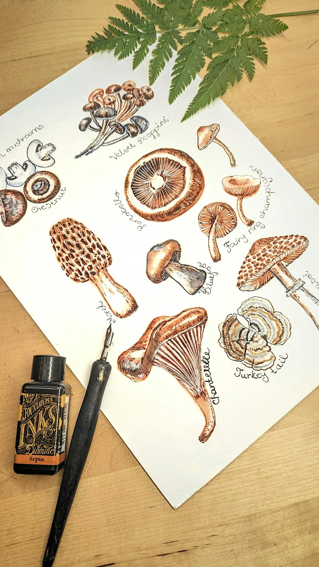 Ink drawing Workshop